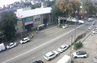 Магазин Бегемот в Сочи