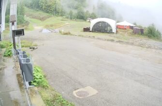 Роза Стадион. 940 м