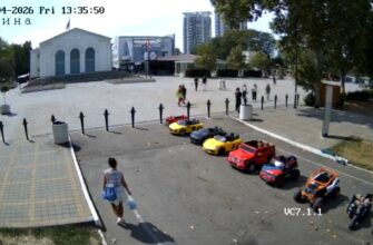 Центр культуры Родина